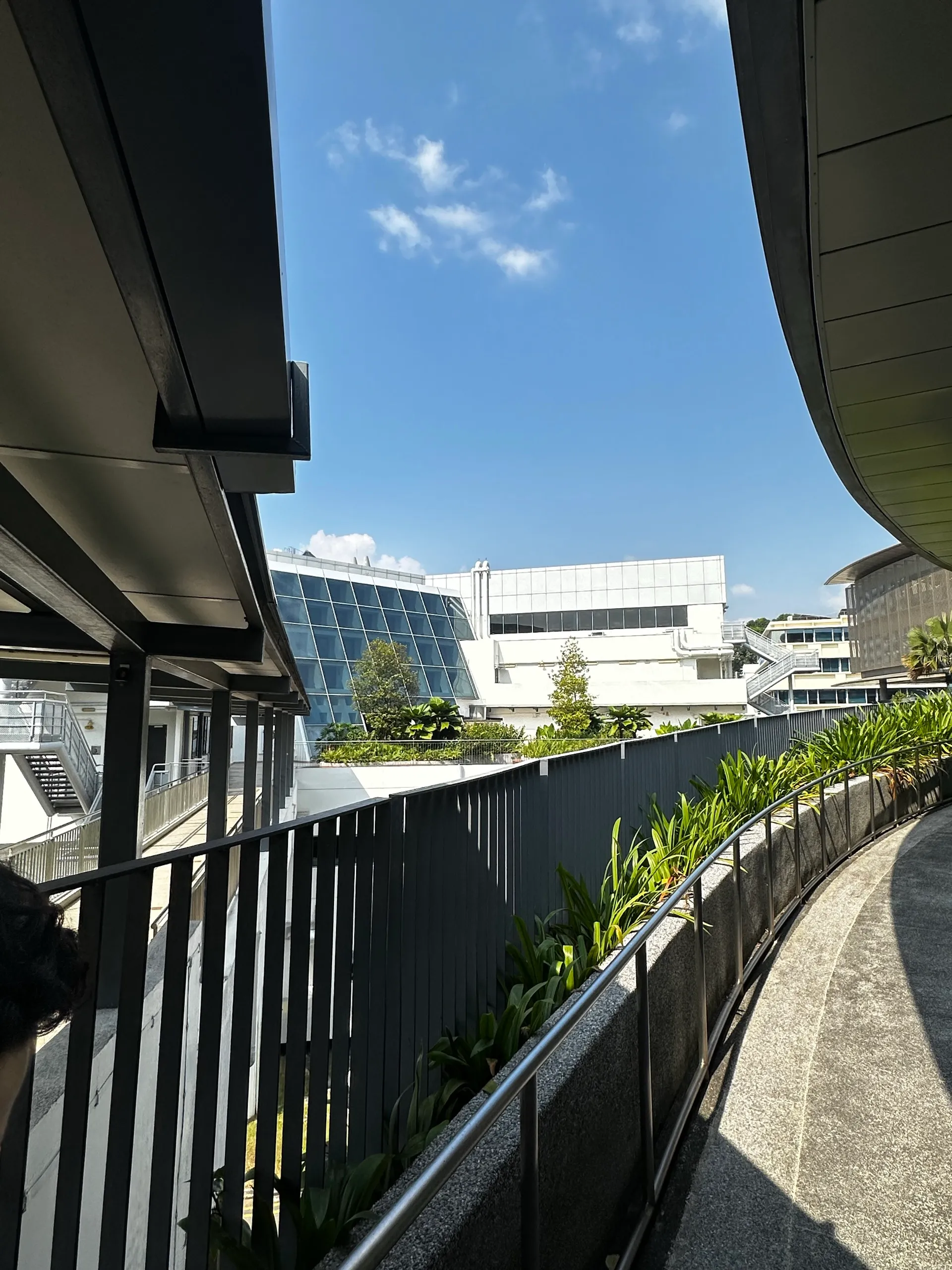 Changi's curved walkway on the way back in, with minutes to spare