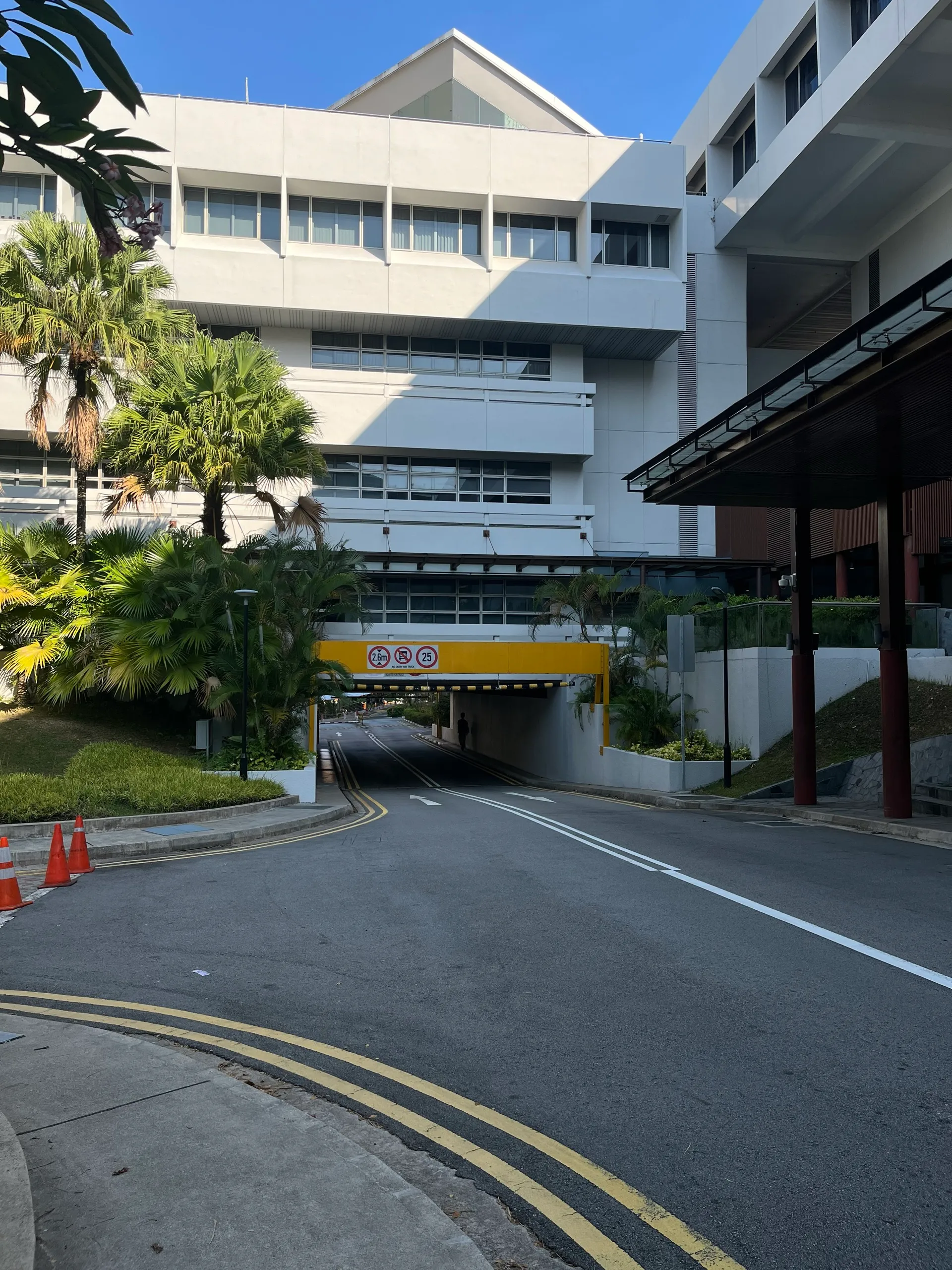 An NTU campus road under full sun, buildings in every direction